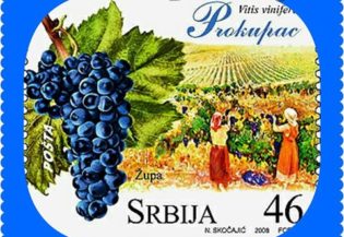 6853Svetski dan Prokupca – #ProkupacDay #Prokupac