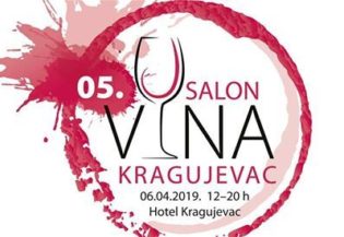 69095. SALON VINA KRAGUJEVAC