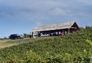 6851Devet godina vinarije Quet Wine