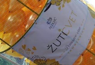 6919Perlanje Žutog cveta -Hepening u Hiltonu-