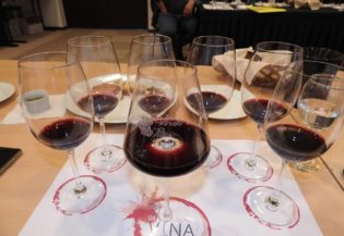 6885Moćne crvene kupaže na 4° Salonu vina u Kragujevcu